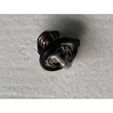 Arora Gp 250  Termostat
