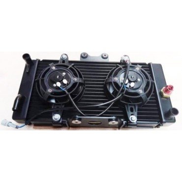 Arora Hector  Radi̇yatör