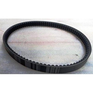 Arora Hector  Kayiş 882-22