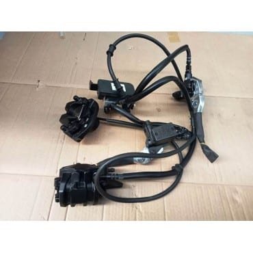 Arora Beatrix Cbs Fren Seti