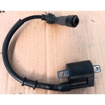 Arora Beatrix Ateşleme Bobini