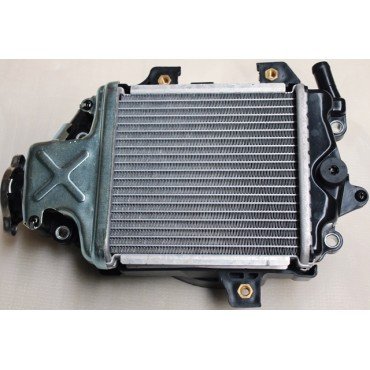 Arora Gt 125  Radi̇yatör