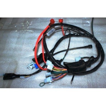 Arora Freedom 125 Elektri̇k Tesi̇sati (Euro 5)