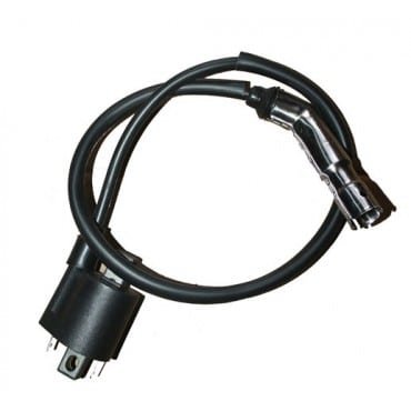 Arora AR50-6 Capirossi Ateşleme Bobini Euro 5