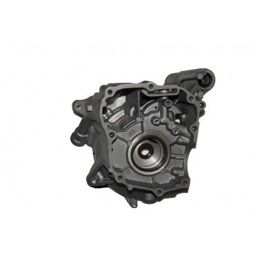 Arora Special 125  Sağ Kartel