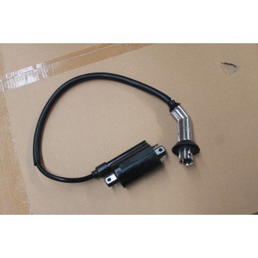 Arora Mojito 125  Ateşleme Bobi̇ni̇